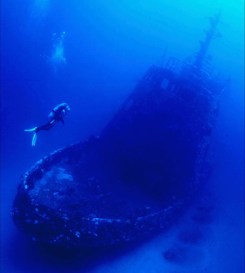 Merimbula Divers Lodge - Newcastle Accommodation 0