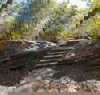 Mooney Mooney nature walk - New Castle Tourism