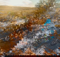 Mountain Biking in Alice Springs - Newcastle Accommodation