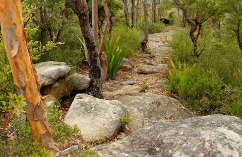Mount Olive Trail - New Castle Tourism 0