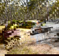 Murray Valley Regional Park - New Castle Tourism