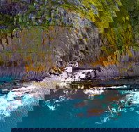 Newland Head Conservation Park