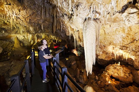 Ngilgi Cave - New Castle Tourism 2