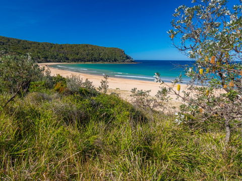 North Durras Beach - New Castle Tourism 0