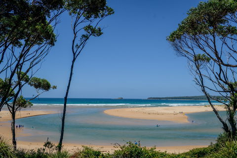 North Durras Beach - New Castle Tourism 1