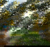 North Western Fishing Trail - Newcastle Accommodation