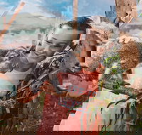 Oakvale Wildlife Park - Newcastle Accommodation