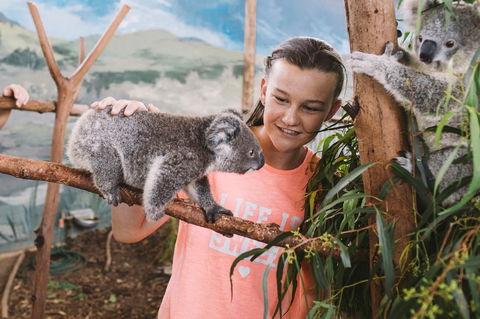 Oakvale Wildlife Park - New Castle Tourism 0