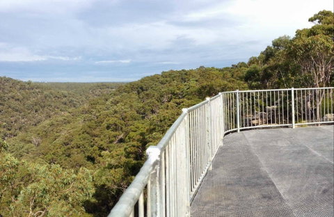 O'Hares Creek Lookout - Newcastle Accommodation 0