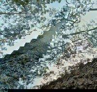 O'Sullivans Gap Picnic Area - Newcastle Accommodation