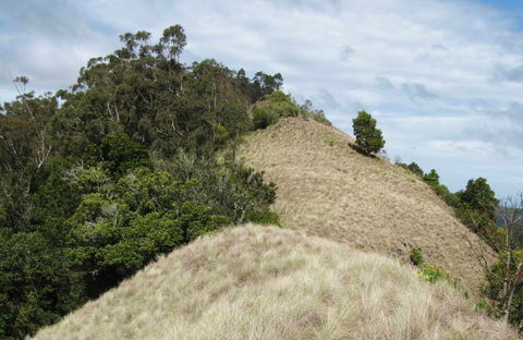 Pieries Peak Walking Track - New Castle Tourism 0
