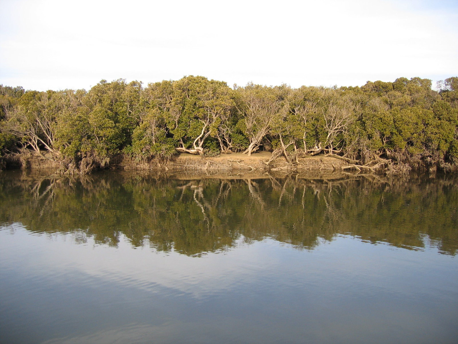 Price SA Newcastle Accommodation