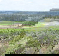 Princess Hills Girringun National Park - New Castle Tourism