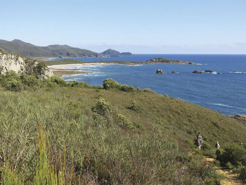 Rocky Cape National Park - New Castle Tourism 1