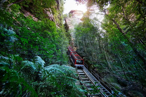 Scenic World Blue Mountains - New Castle Tourism 0