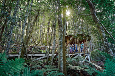 Scenic World Blue Mountains - New Castle Tourism 2
