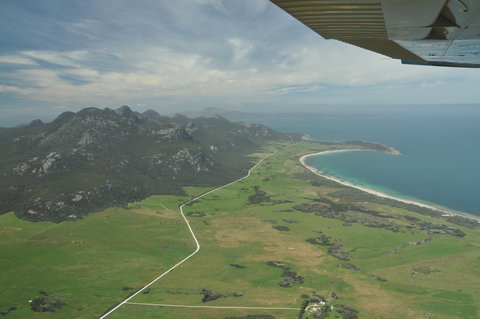 Strzelecki Peaks Great Short Walk - New Castle Tourism 1