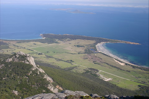 Strzelecki Peaks Great Short Walk - New Castle Tourism 2