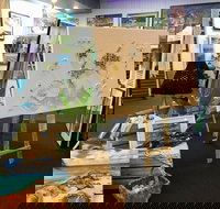 Straddievarious Gallery