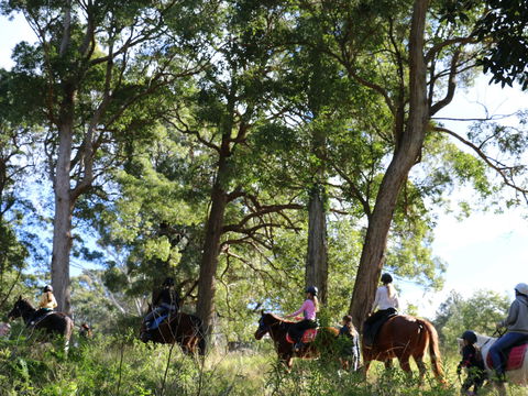 The Outlook Riding Academy - New Castle Tourism 0