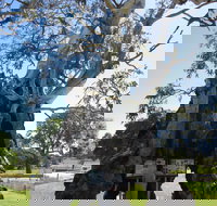 The Herbig Family Tree - Newcastle Accommodation