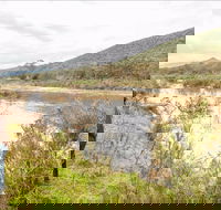 Willis picnic area - Newcastle Accommodation