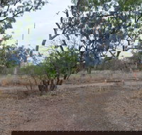 Alexander Forest Memorial