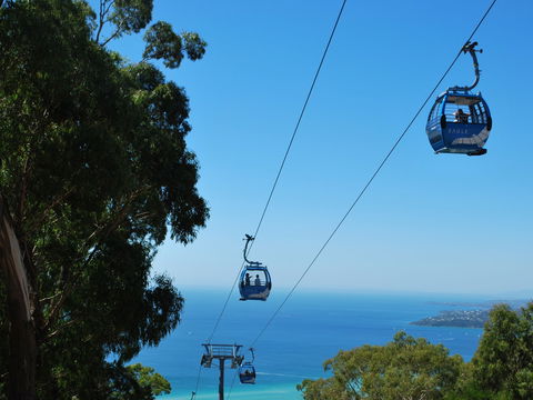 Arthurs Seat Eagle - New Castle Tourism 0