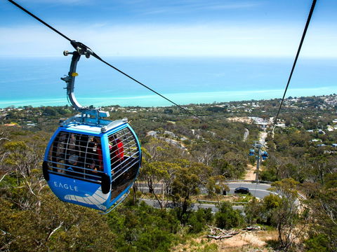 Arthurs Seat Eagle - New Castle Tourism 1