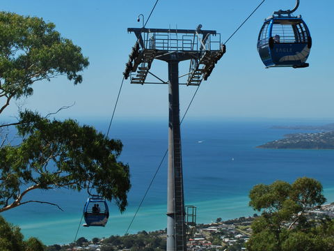 Arthurs Seat Eagle - New Castle Tourism 2