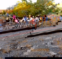 Australian Age of Dinosaurs - New Castle Tourism