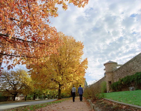 Beechworth - Newcastle Accommodation 1