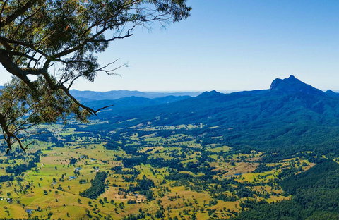 Blackbutt Lookout Picnic Area - Newcastle Accommodation 0