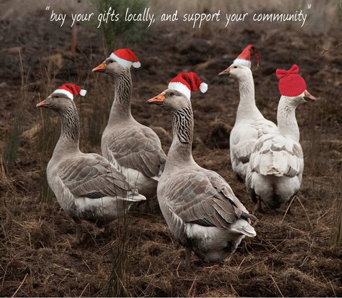 Bream Creek Farmers Market - Newcastle Accommodation 1