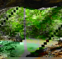 Buderim - New Castle Tourism