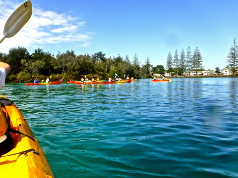 Byron Bay River Nature Kayak Tour - Newcastle Accommodation 0