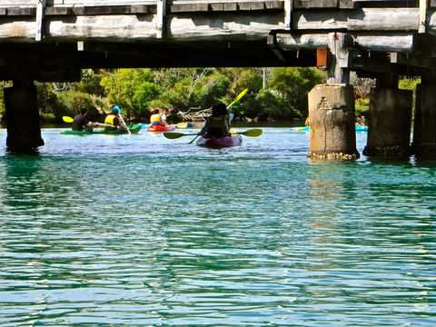 Byron Bay River Nature Kayak Tour - Newcastle Accommodation 1
