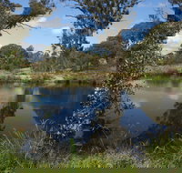 Cooleman Ridge - Newcastle Accommodation