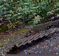 Coombadjha Nature Stroll