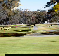Deniliquin Golf Club - New Castle Tourism