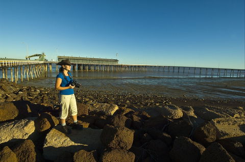 Derby Jetty - New Castle Tourism 0