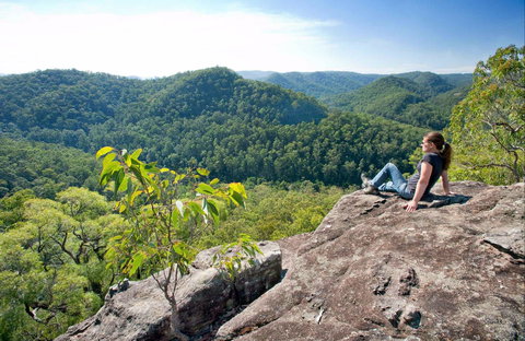 Dubbo Gully Loop Trail - New Castle Tourism 0