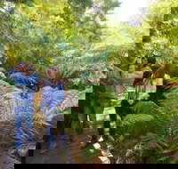 Endeavour Fern Gully Walks - New Castle Tourism