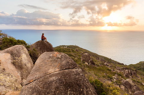 Fitzroy Island National Park - Newcastle Accommodation 1