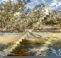 Flea Creek Picnic Area - Newcastle Accommodation