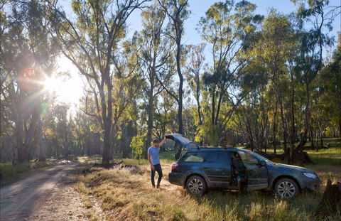 Forest Drive, Murrumbidgee Valley National Park - New Castle Tourism 0