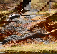 Freycinet Paintball and Campground - New Castle Tourism