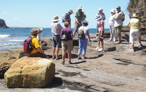 Gondwana Coast Fossil Walk - New Castle Tourism 0