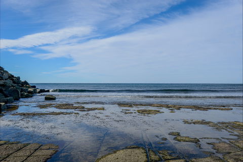Gondwana Coast Fossil Walk - New Castle Tourism 1