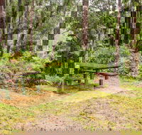 Goodenia Rainforest picnic area - New Castle Tourism